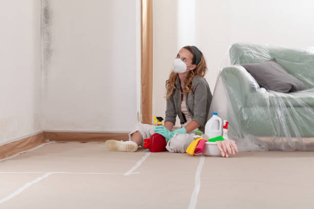 Reliable Black Mold Removal contractor in Freehold, NJ by WQB Mold Removal